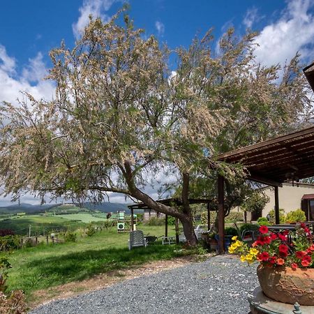 Agriturismo Il Canterino Guardistallo Dış mekan fotoğraf