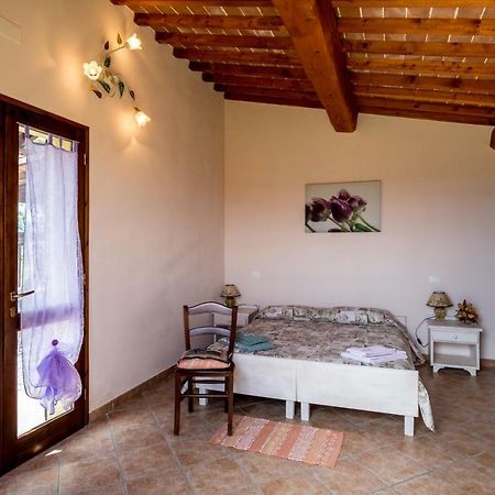 Agriturismo Il Canterino Guardistallo Dış mekan fotoğraf