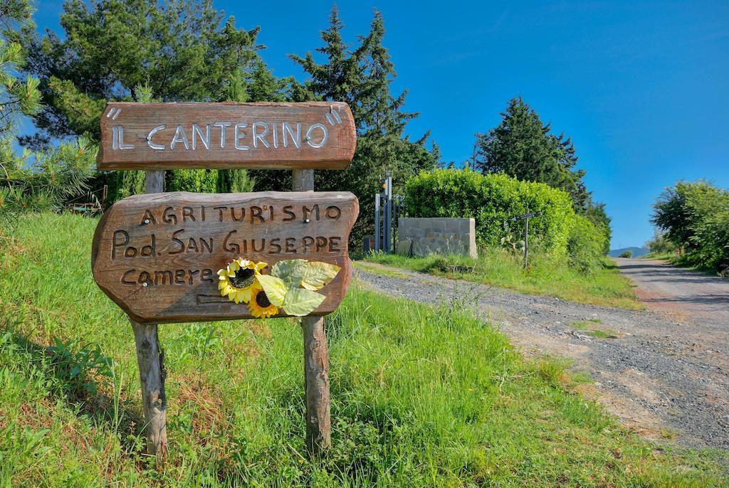Agriturismo Il Canterino Guardistallo Dış mekan fotoğraf