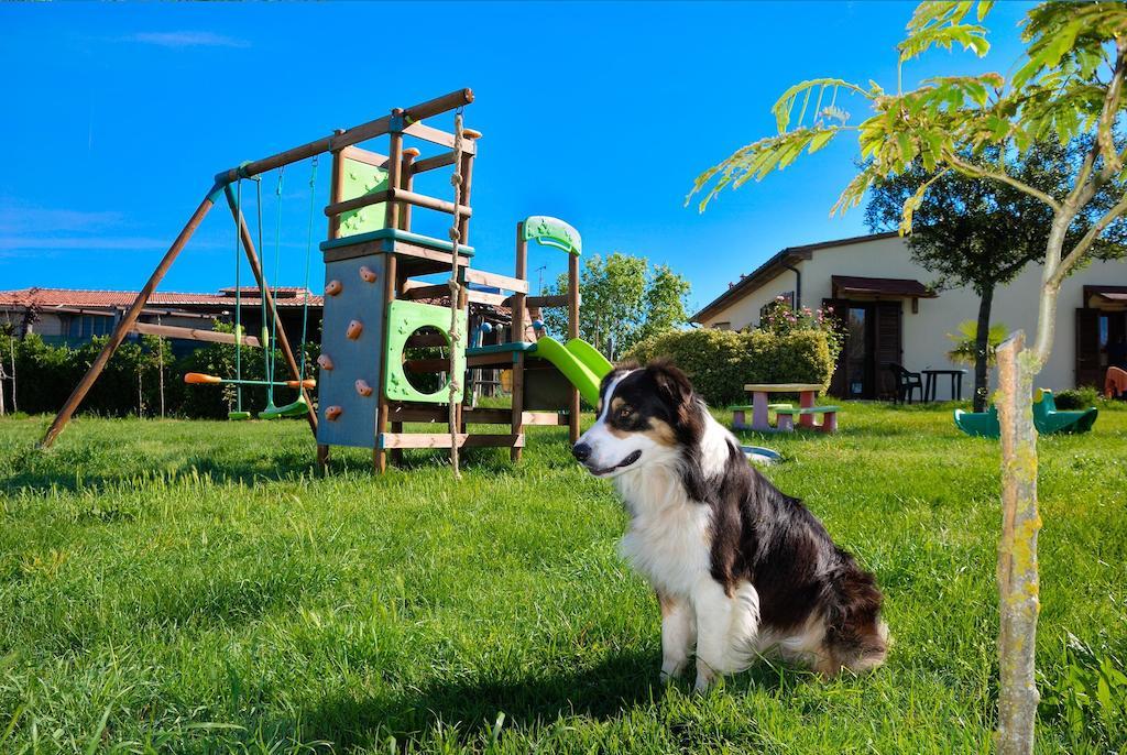 Agriturismo Il Canterino Guardistallo Dış mekan fotoğraf