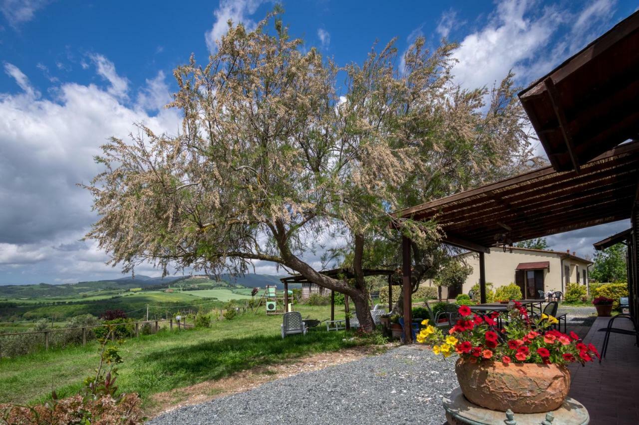 Agriturismo Il Canterino Guardistallo Dış mekan fotoğraf