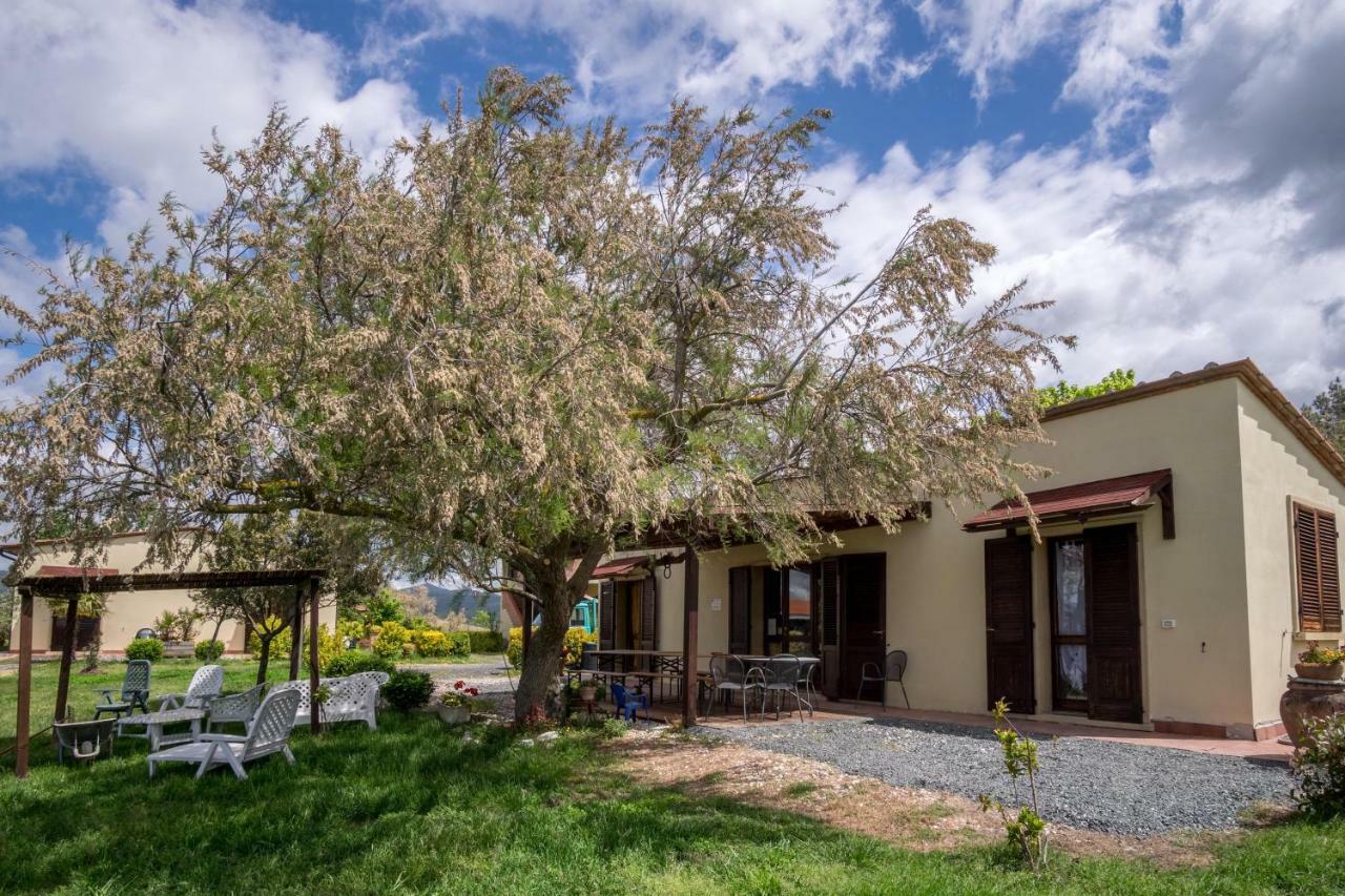 Agriturismo Il Canterino Guardistallo Dış mekan fotoğraf
