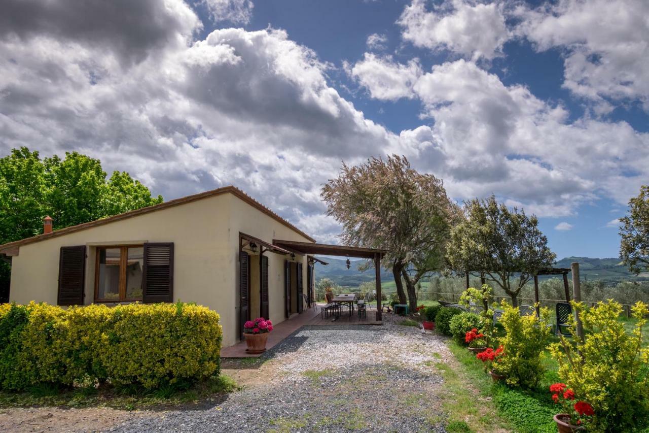 Agriturismo Il Canterino Guardistallo Dış mekan fotoğraf