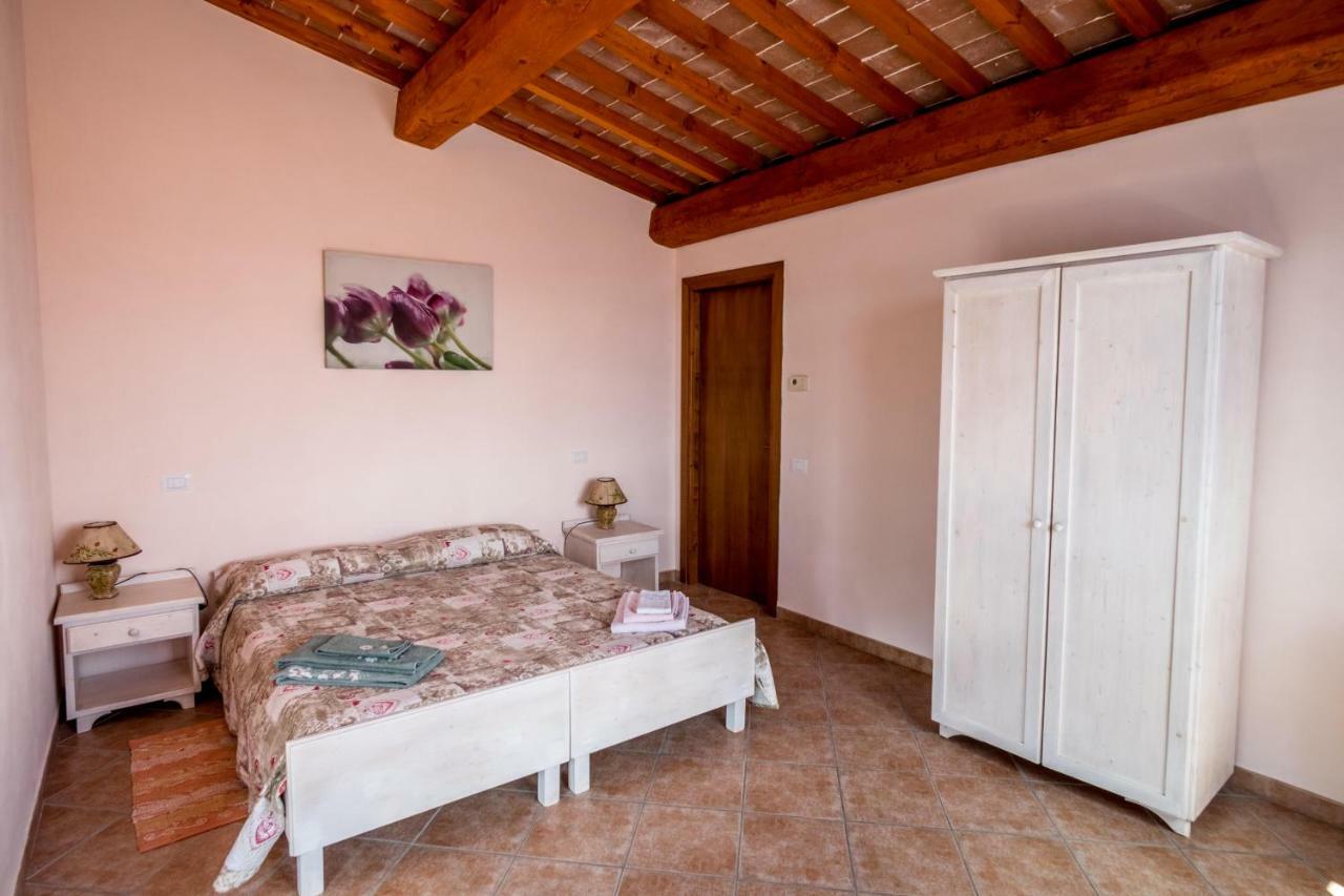 Agriturismo Il Canterino Guardistallo Dış mekan fotoğraf