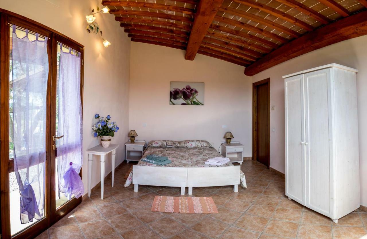 Agriturismo Il Canterino Guardistallo Dış mekan fotoğraf